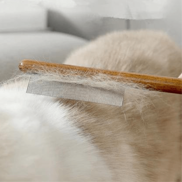 Solid Wood Pet Comb - Image 4